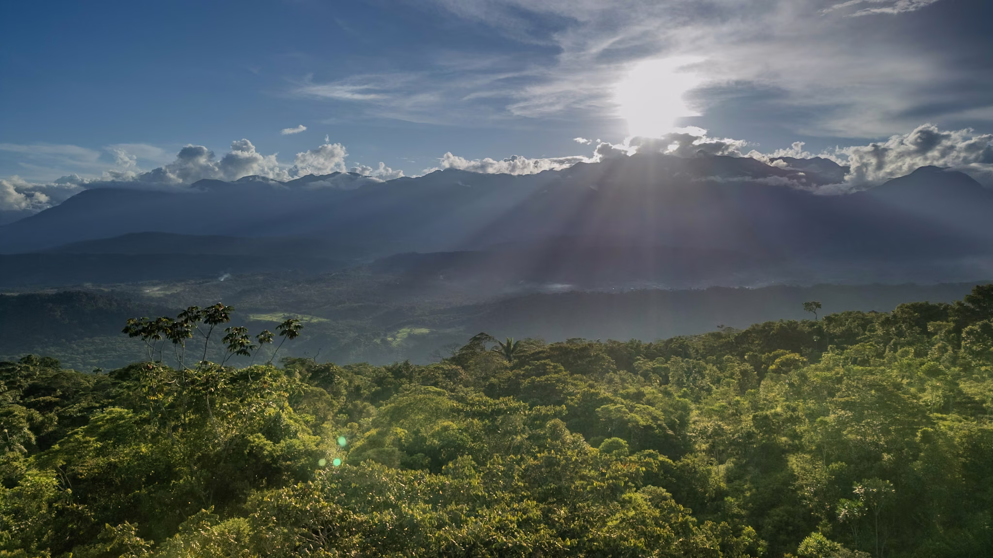 Amanecer sobre la cordillera de los Andes y la selva