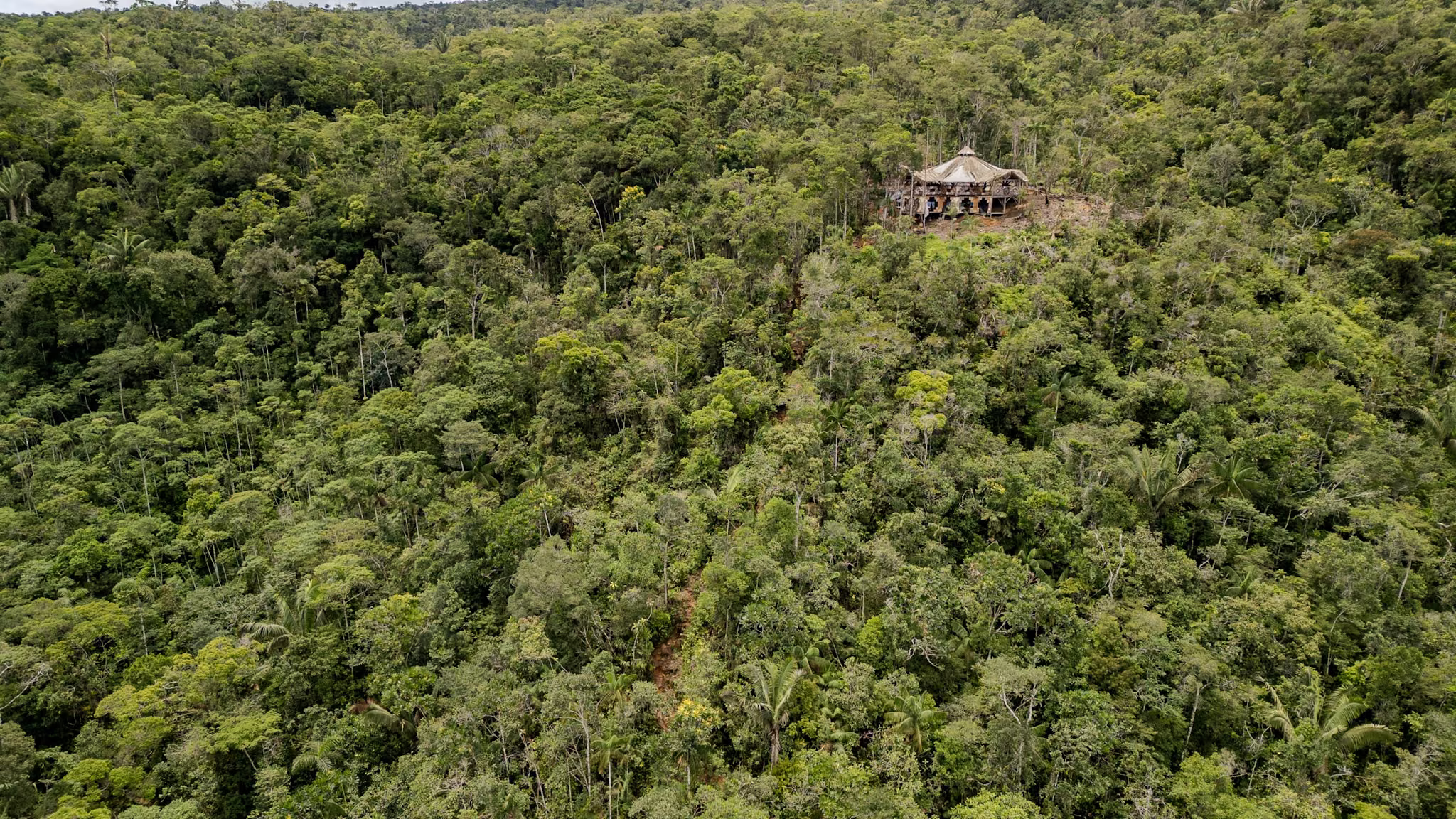 Vista aérea de Casa Jaguar rodeada de selva en la montaña